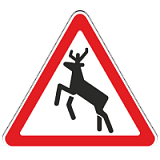 1.27 Дикие животные